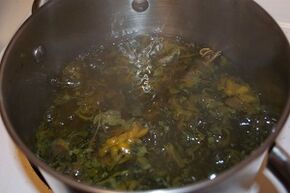 Behandlung vun Krampfadern mat Abkochungen